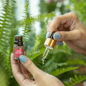 미니 iYURA YAUVARI 앰플리파이드 유스 스프링 !