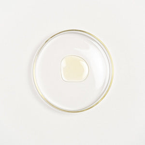 Prinourish Skin-Enriching Superfood Serum - With Almond Oil, Olive Oil, Turmeric, Mango and More Ayurvedic Herbs - 30 ML Master Face oil iYURA