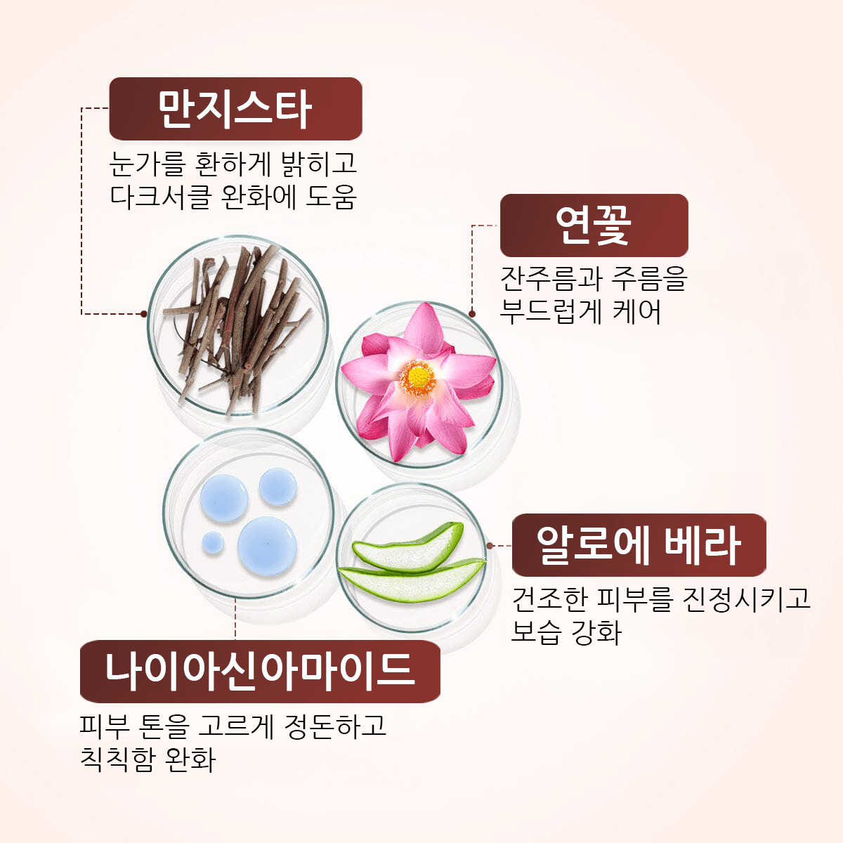A Modernica Naturalis RUFOLIA PRO Periorbital 아이 에멀젼 - 아이 컨투어 크림